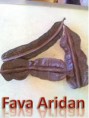 Fava de Aridan